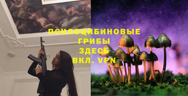 эйфоретик Армянск